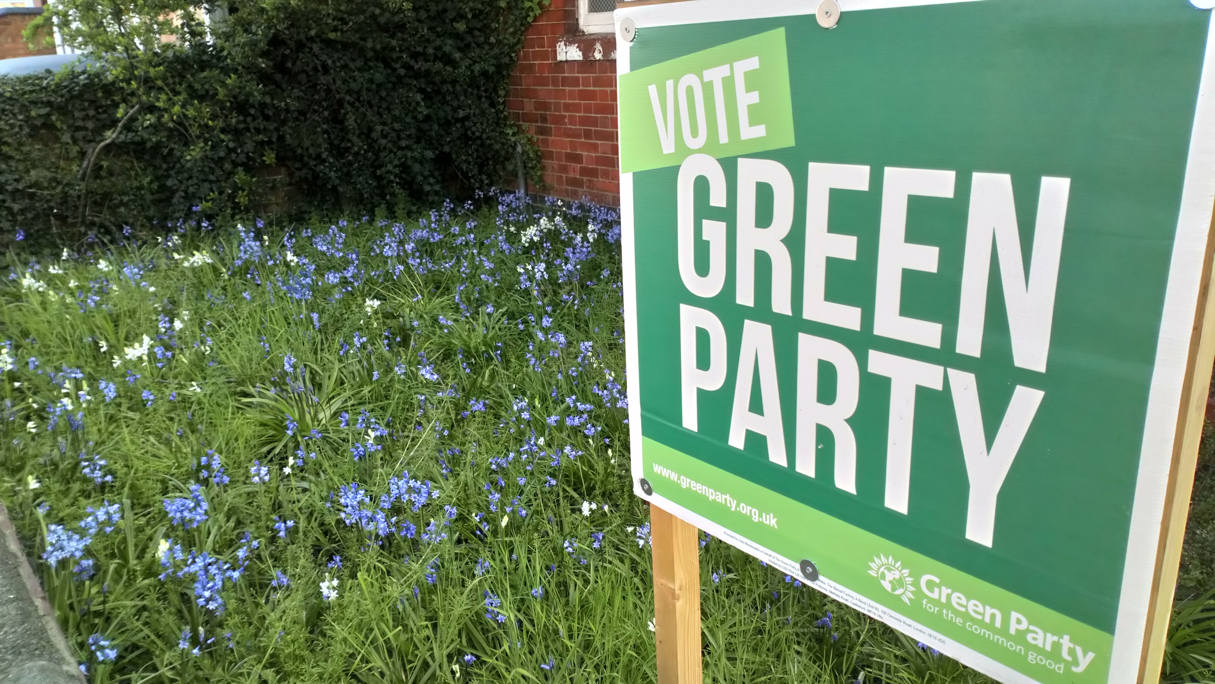 Vote green corex board in garden